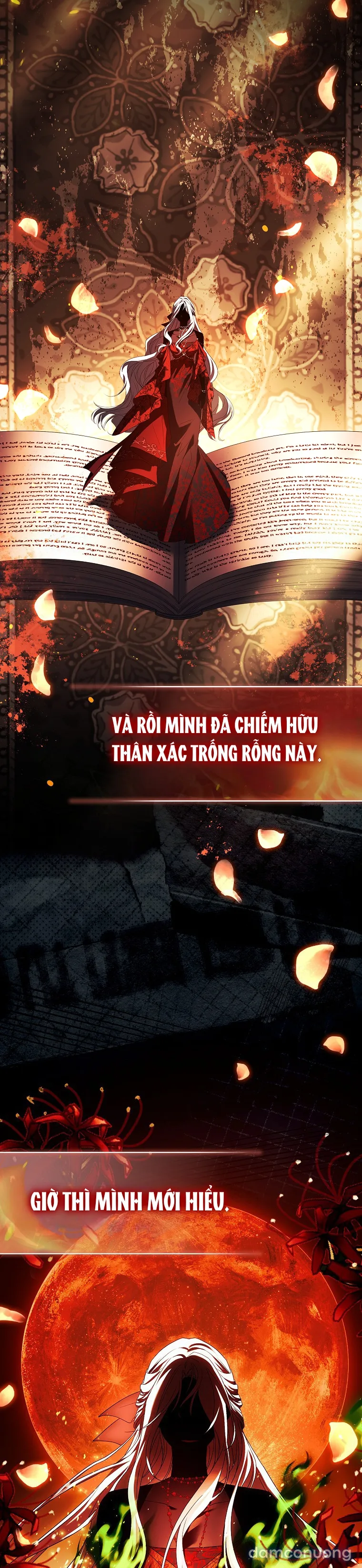 Chồng Ơi, Tại Sao Chúng Ta Không Thể Ly Hôn? 