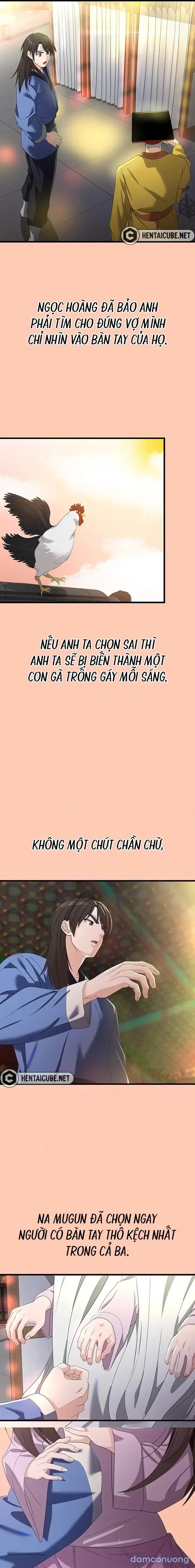 Giấc mơ kì lạ 