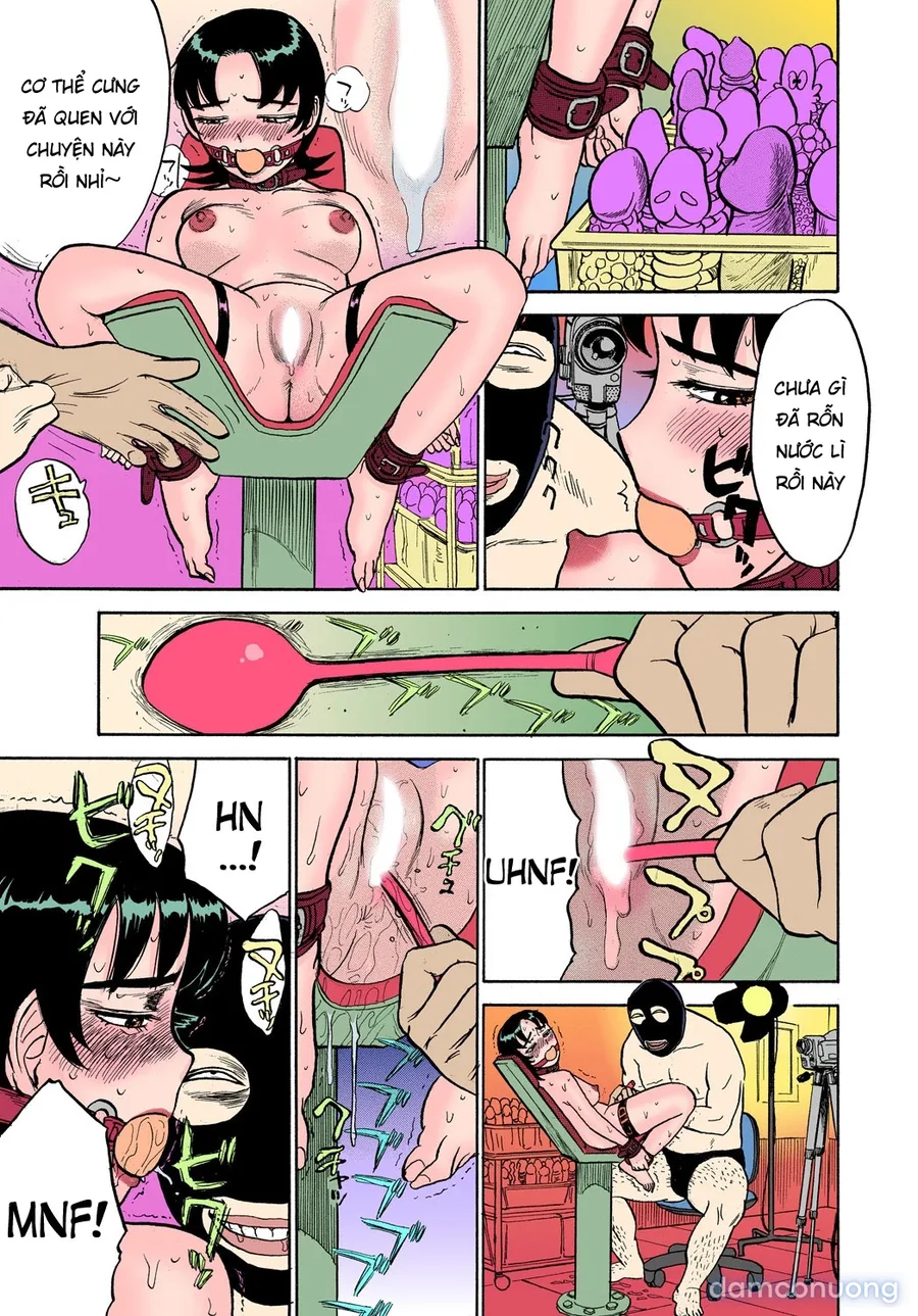 The Wrong Breeding Observation~ 