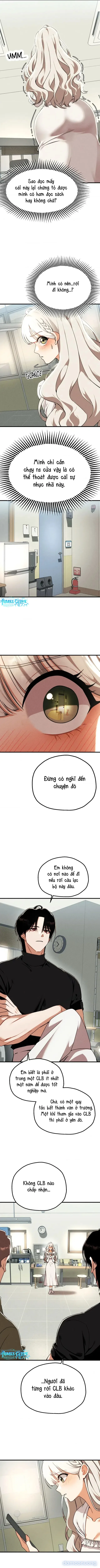 CLB Đọc Sách Dành Cho Người Lớn 