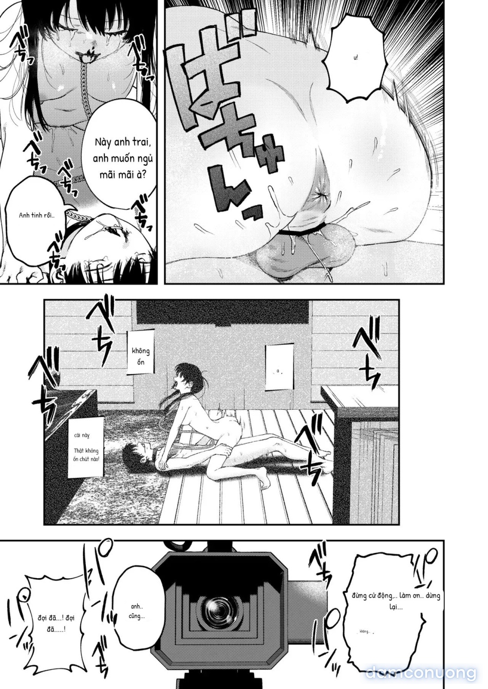 Futago no Kyoudai Kyousei Kinshin Soukan Tsugaijime 