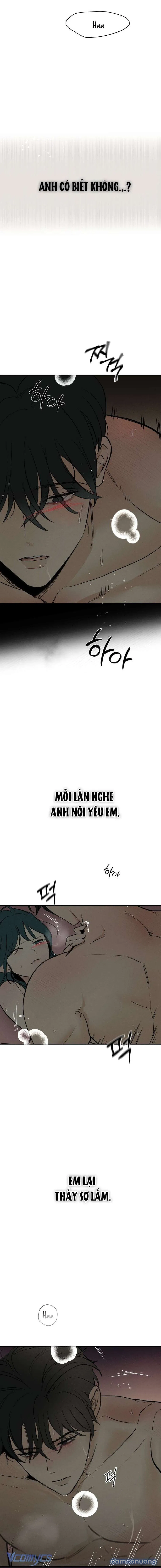Người Đàn Ông Của Kẻ Khác 
