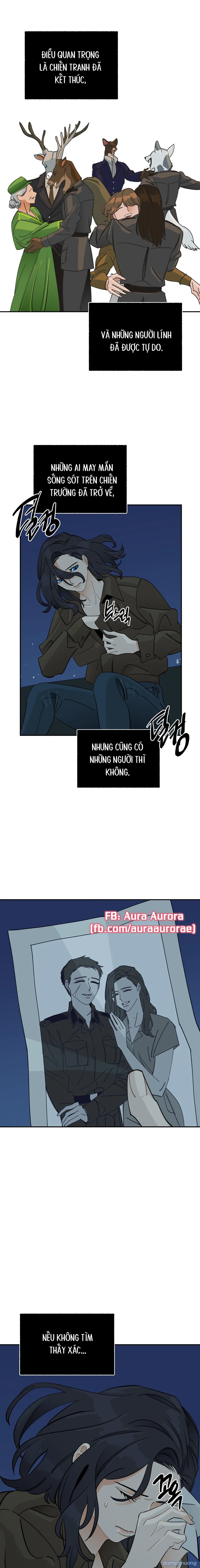 Buông Thả 
