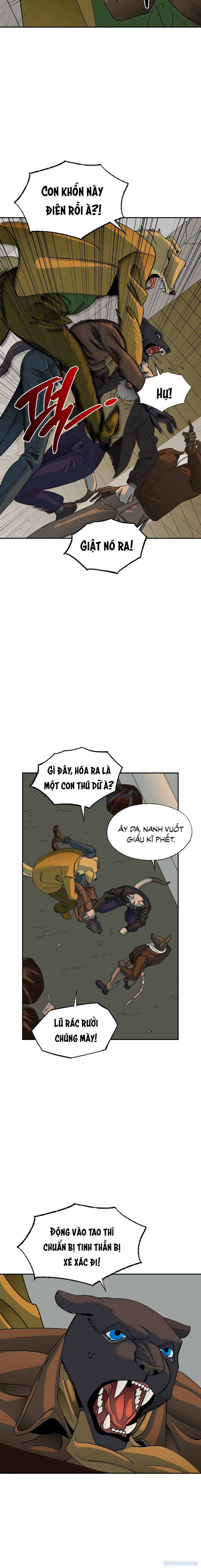 Buông Thả 