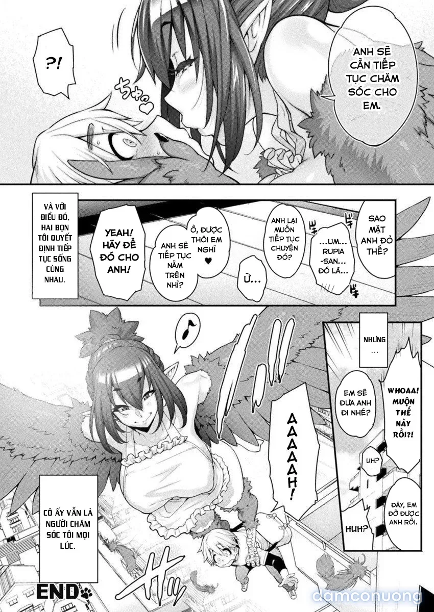 Kemonokko Tsushin 