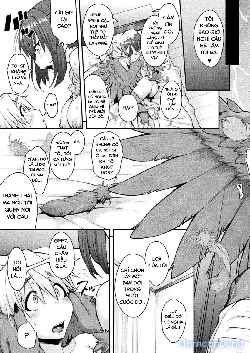 Kemonokko Tsushin 