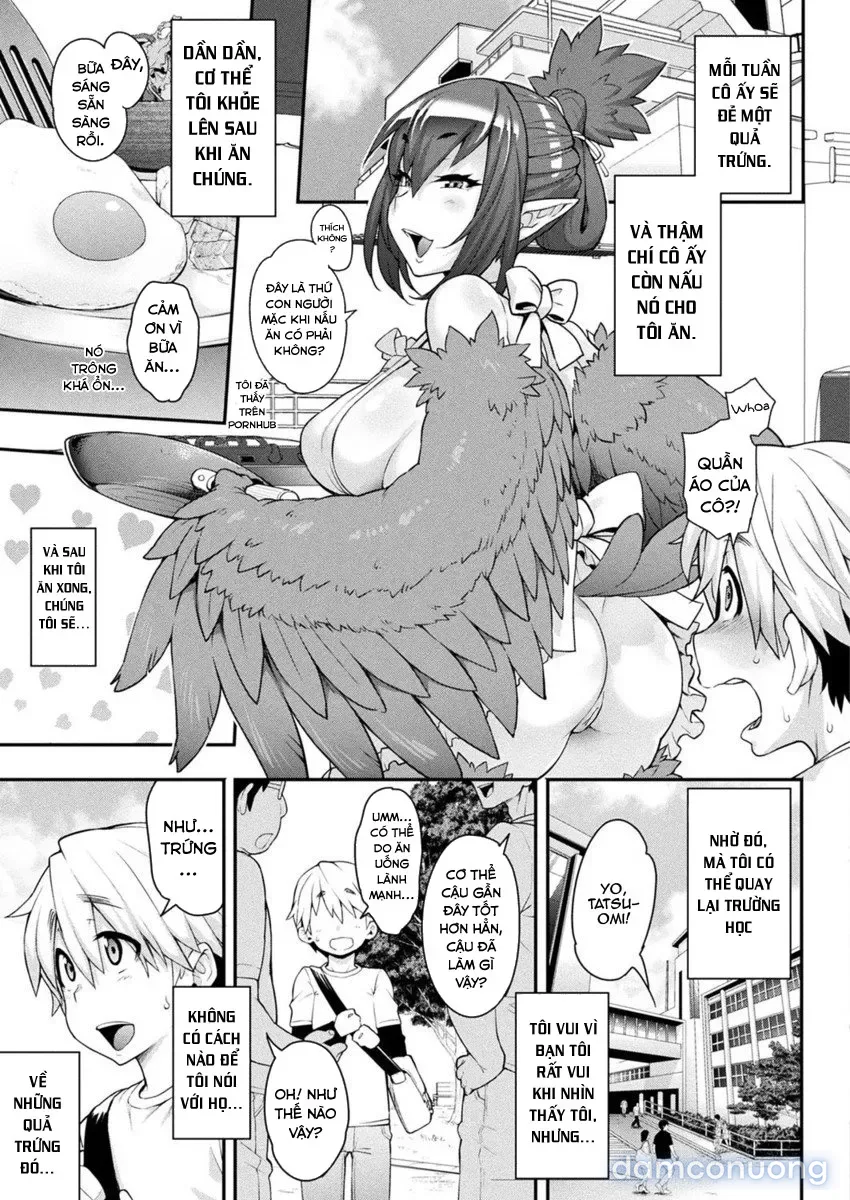 Kemonokko Tsushin 