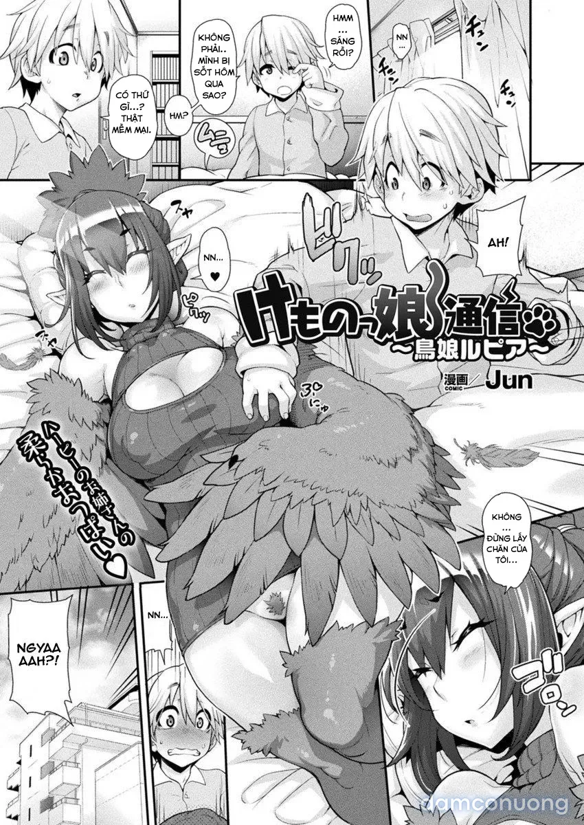 Kemonokko Tsushin 