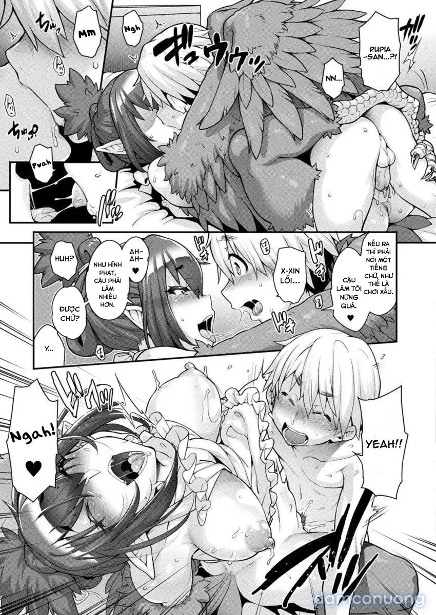 Kemonokko Tsushin 