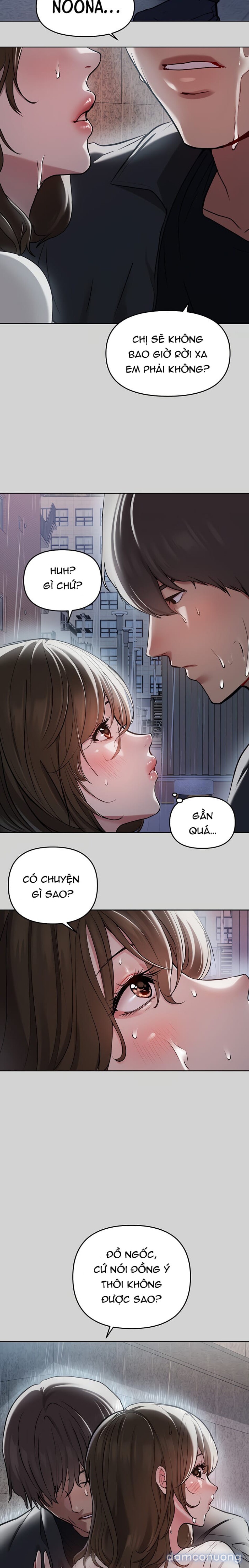 Bà Chị Chủ Nhà 