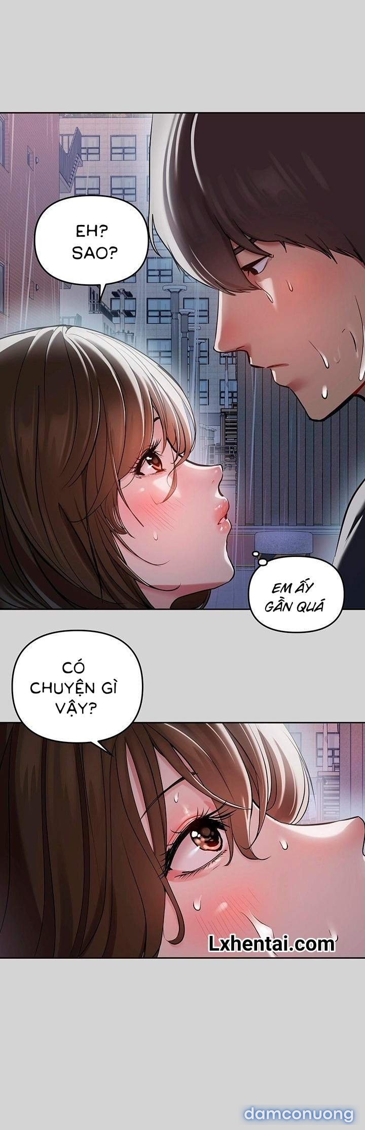 Bà Chị Chủ Nhà 