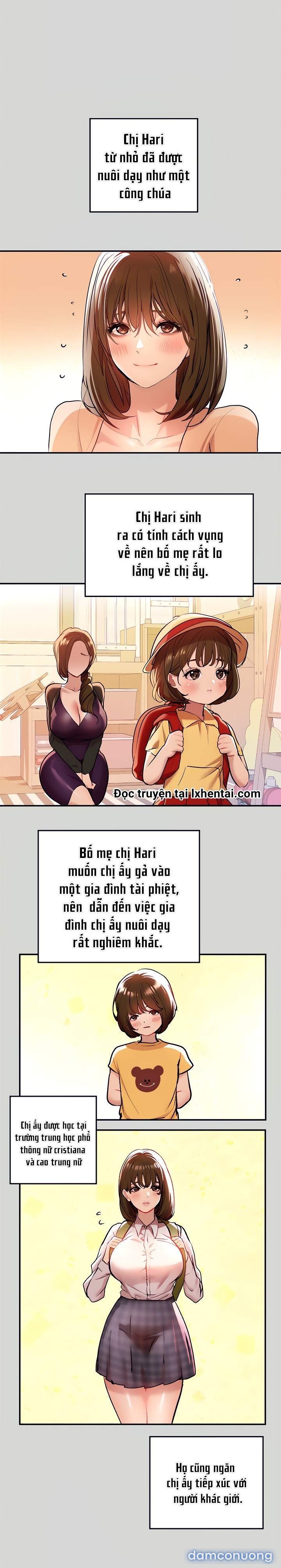 Bà Chị Chủ Nhà 