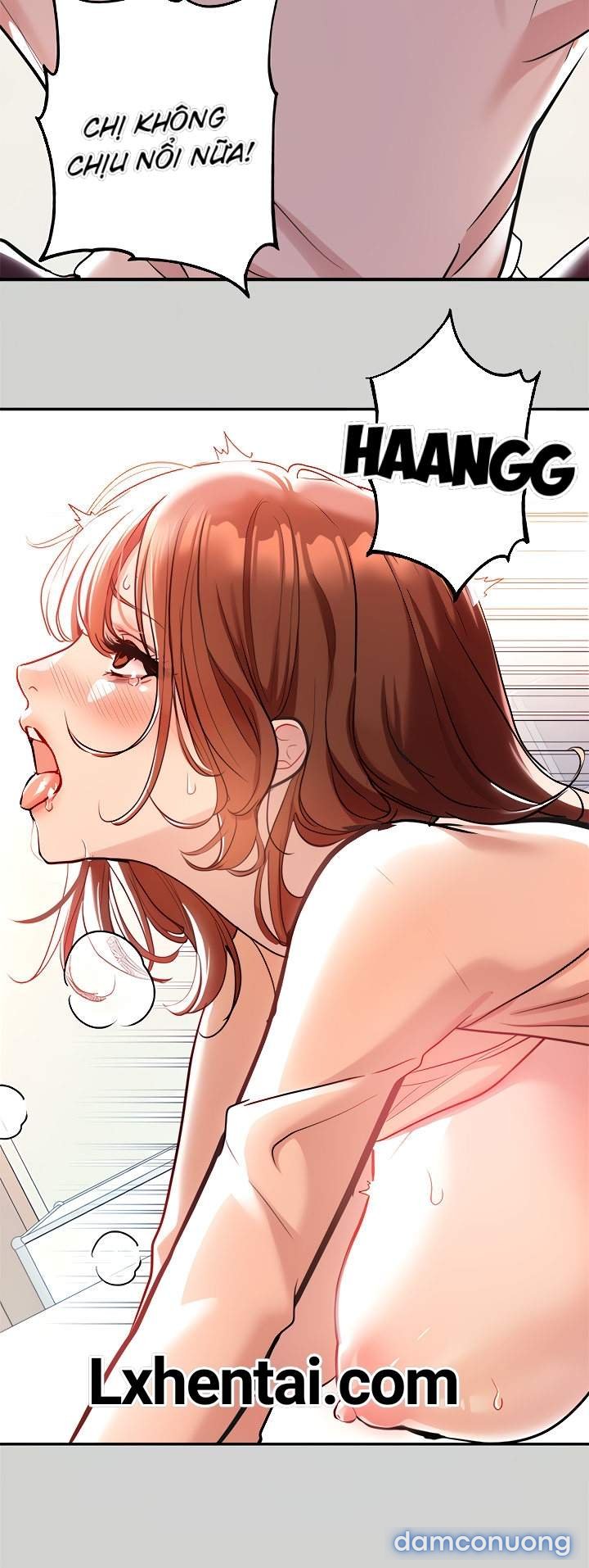 Bà Chị Chủ Nhà 