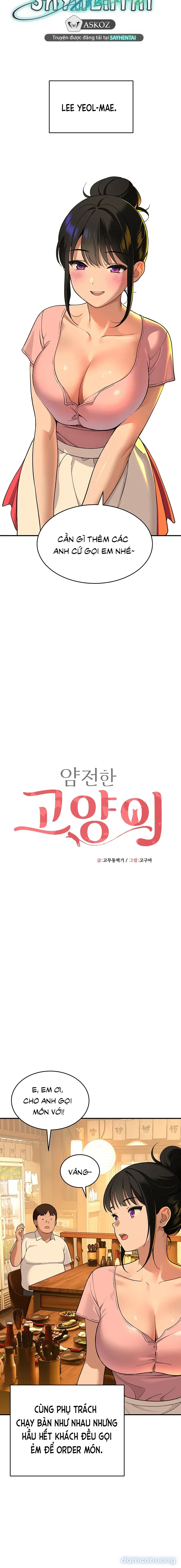 Tưởng mèo nhưng hổ... 