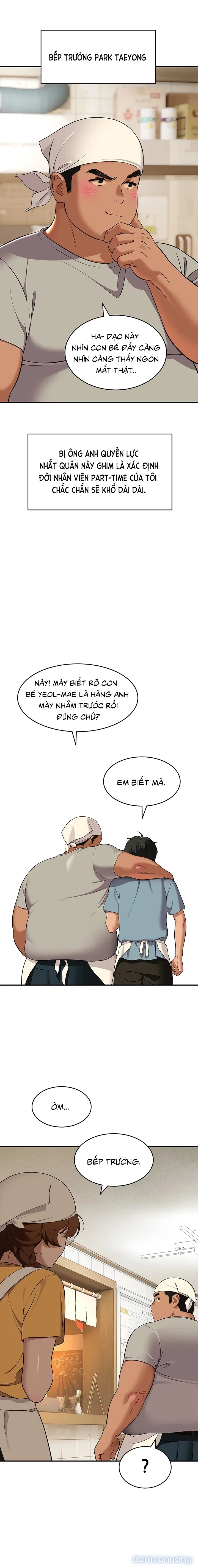 Tưởng mèo nhưng hổ... 