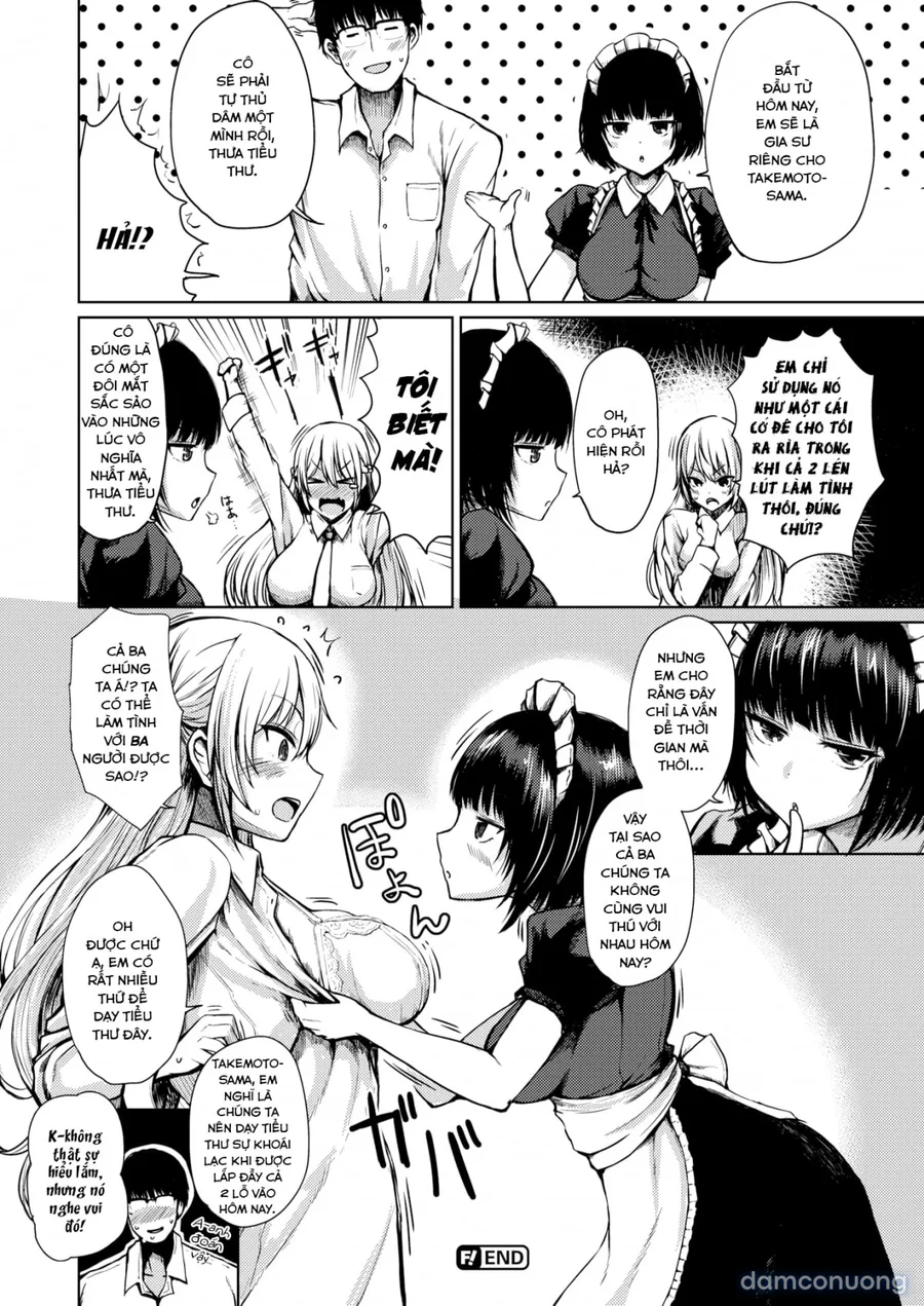 The Great Sexual Education 