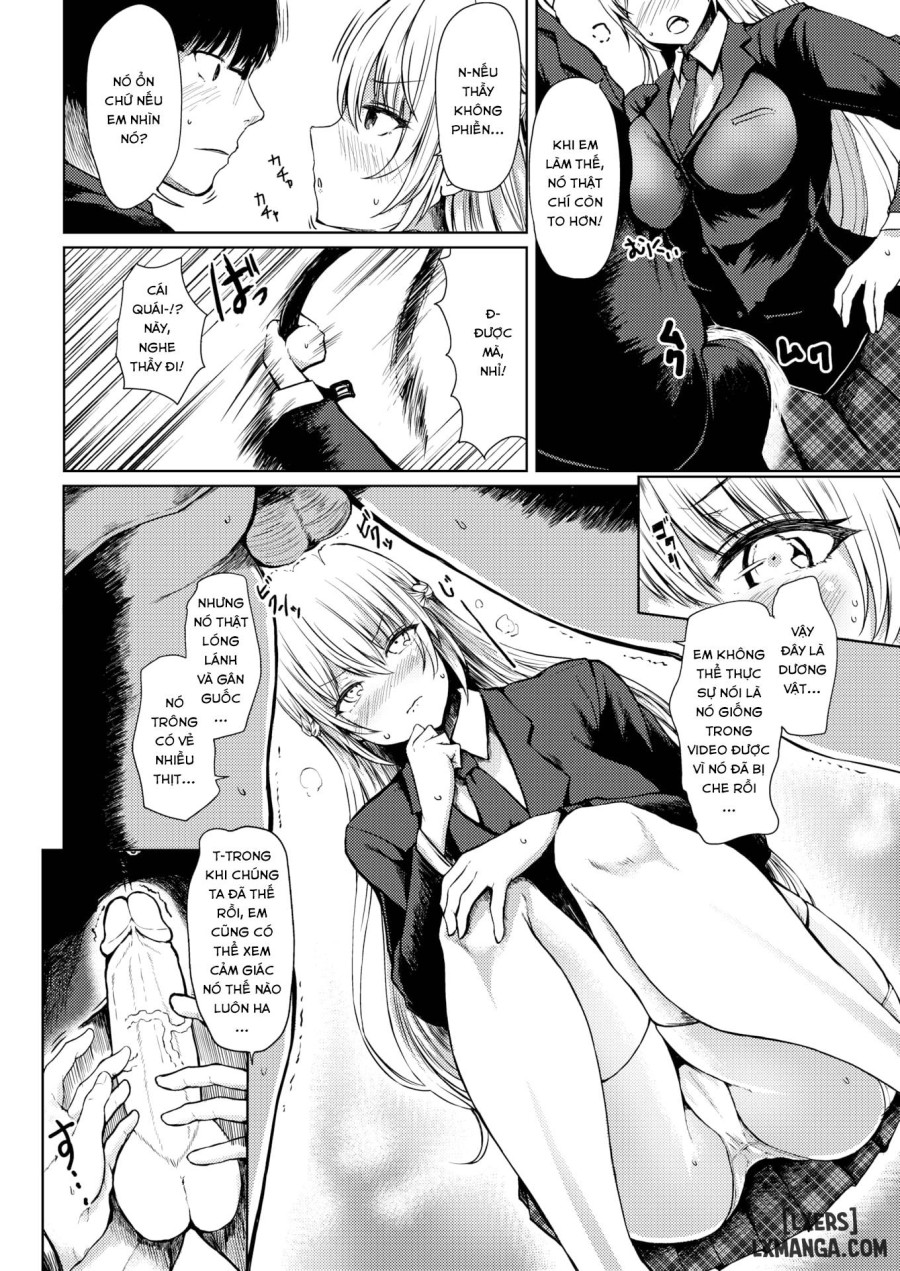 The Great Sexual Education 