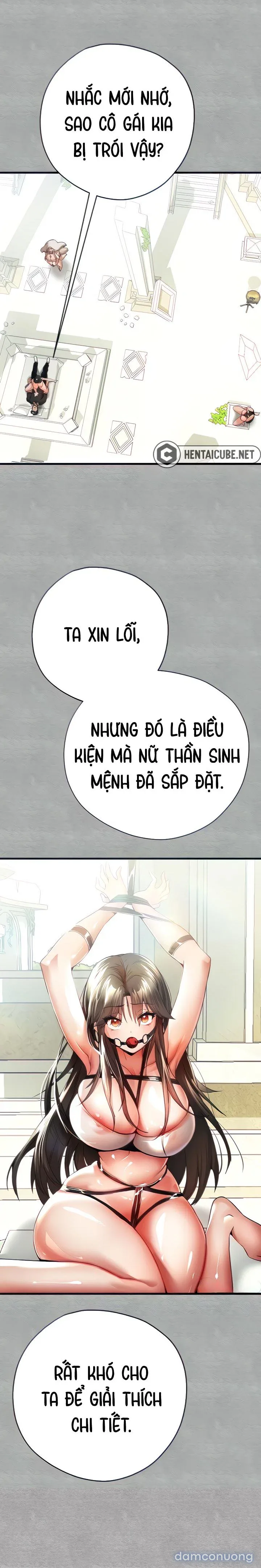 Vị khách không mời. (Genshin Impact) 