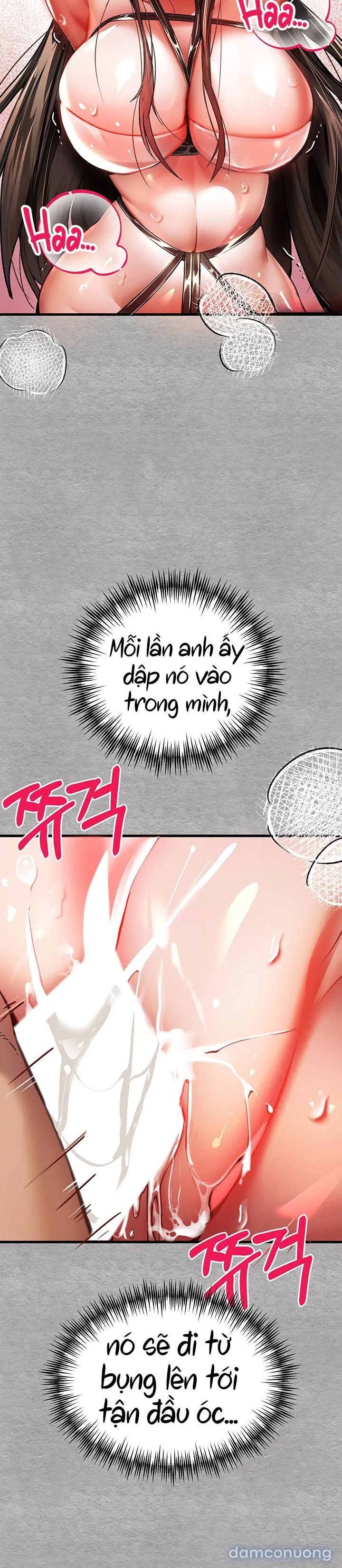 Vị khách không mời. (Genshin Impact) 