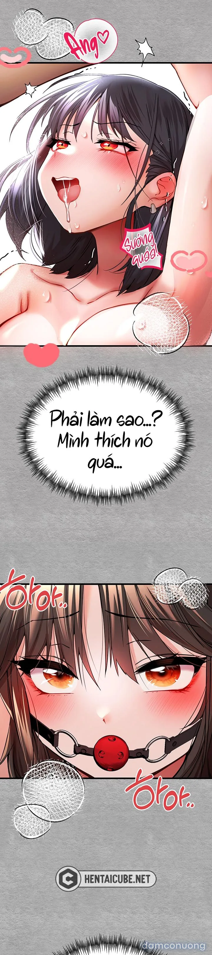 Vị khách không mời. (Genshin Impact) 