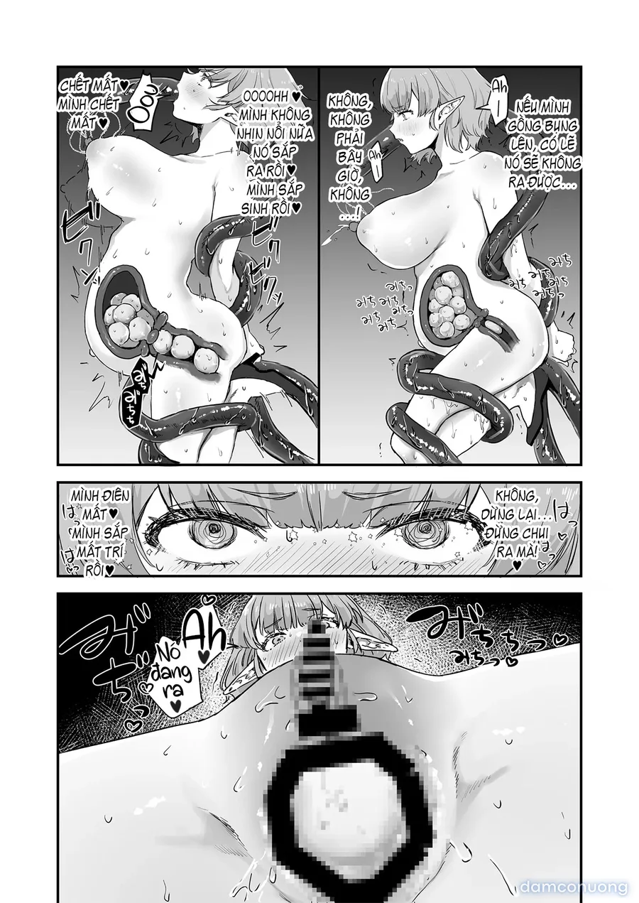 Shokushu × Elf × Kankaku Shadan 
