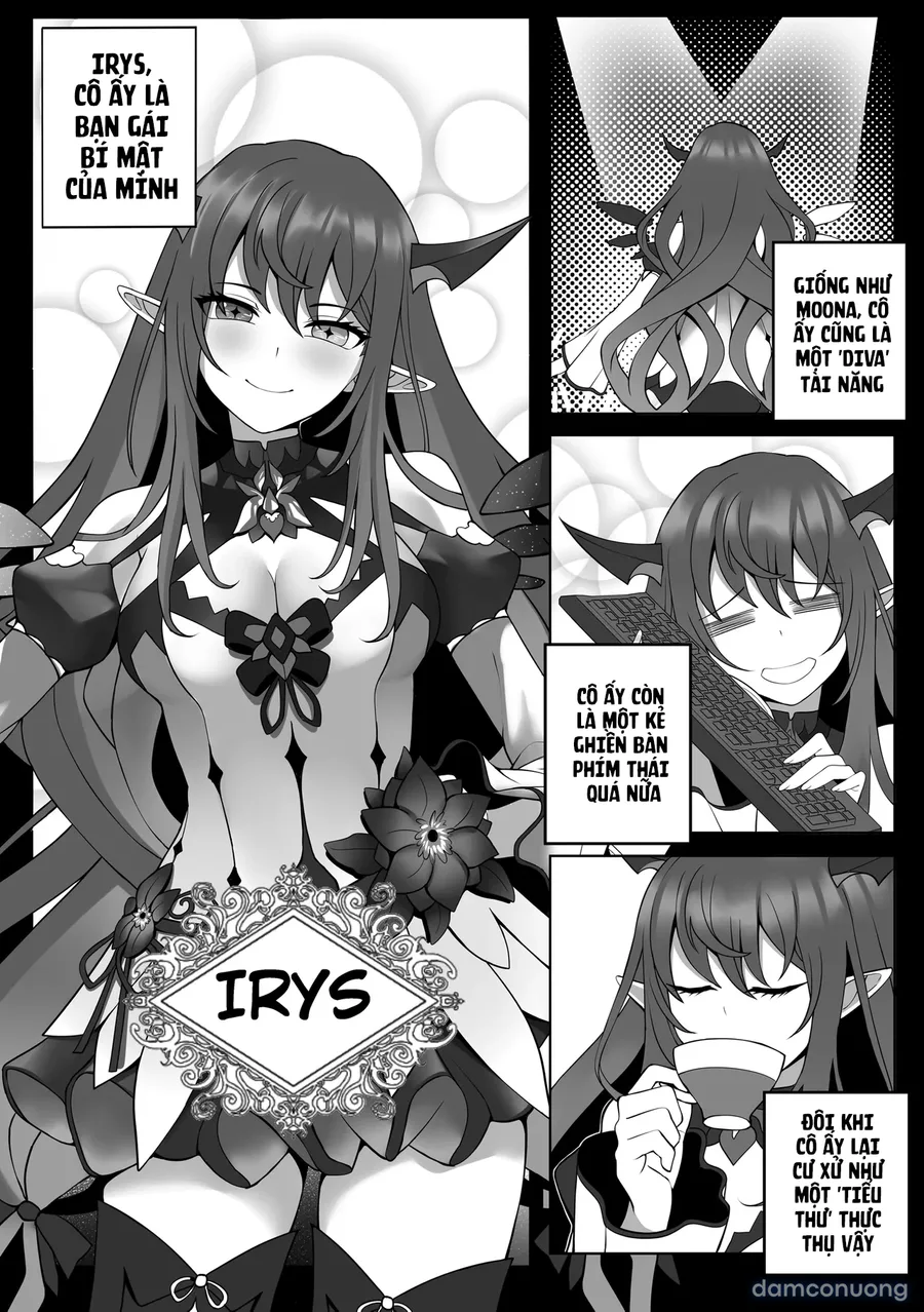 Midnight Lilies 