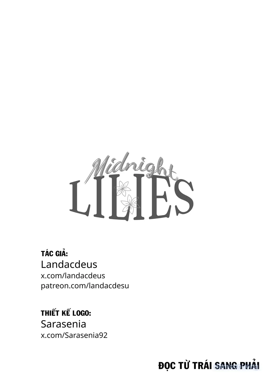 Midnight Lilies 