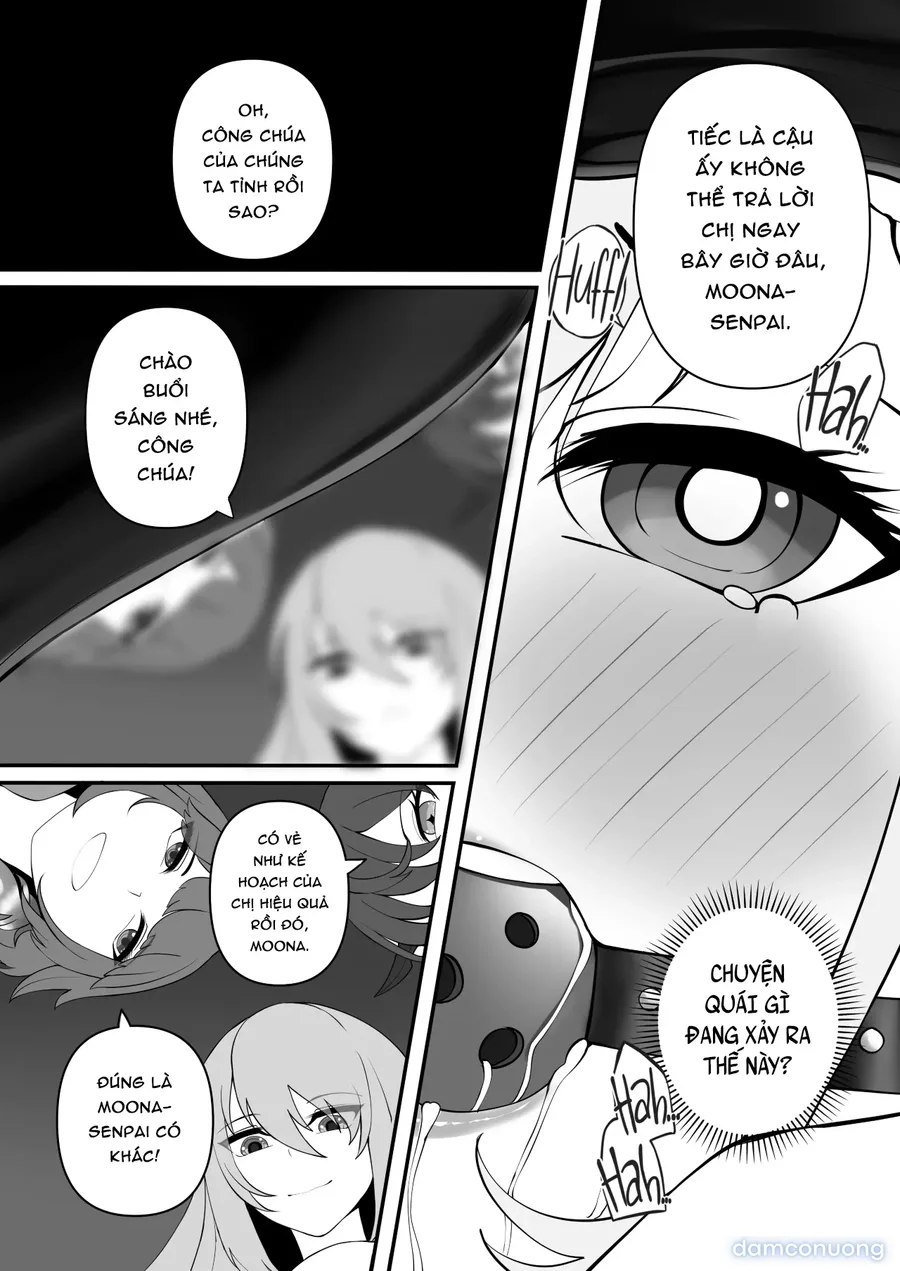Midnight Lilies 