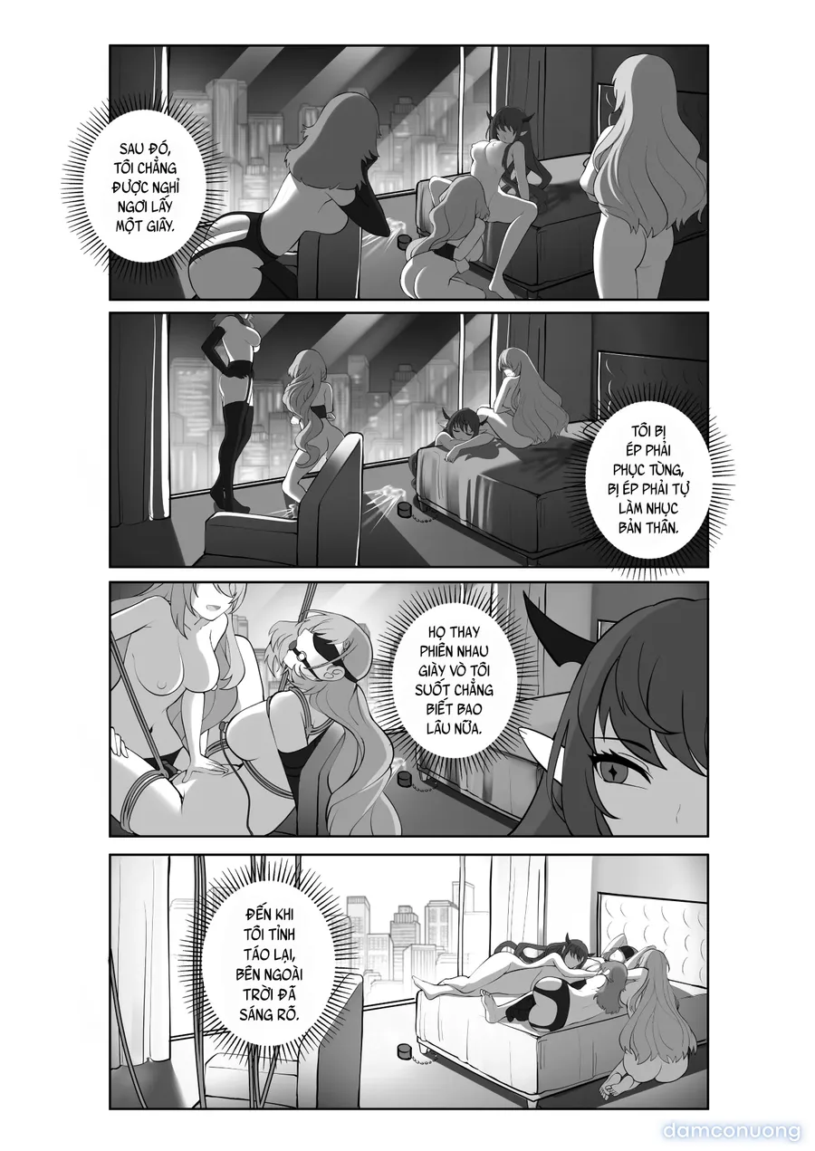 Midnight Lilies 