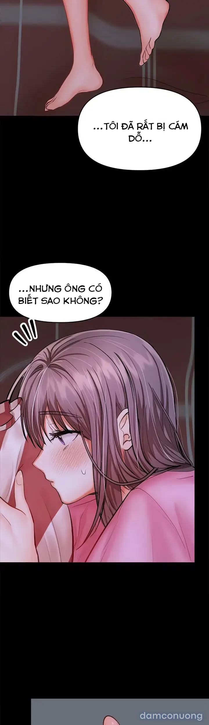 Quỹ tài trợ đặc biệt 