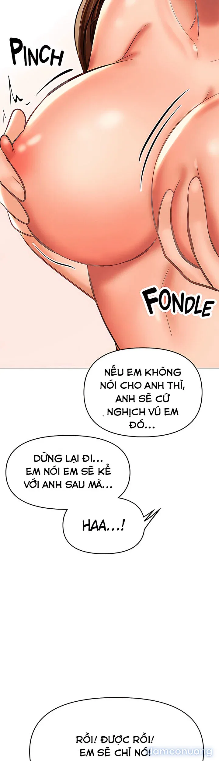 Quỹ tài trợ đặc biệt 