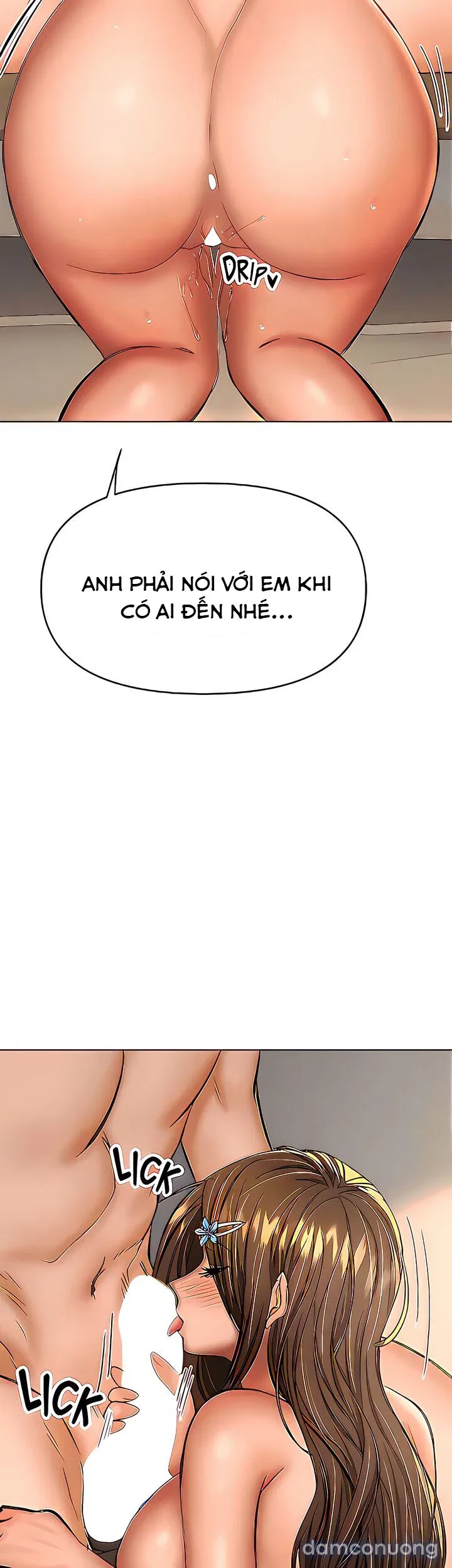 Quỹ tài trợ đặc biệt 