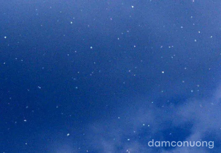 Em gái bán hàng sextoy 