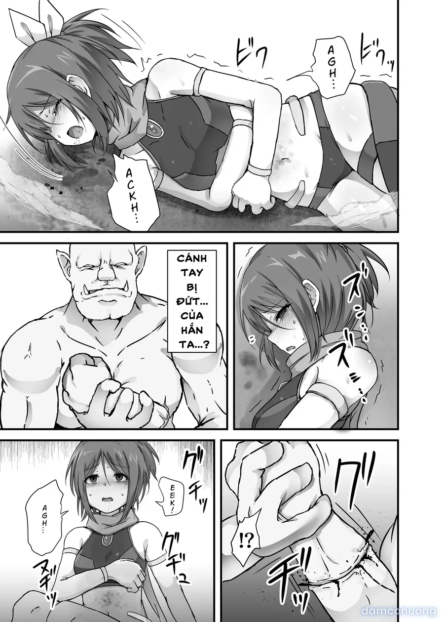 The Fate of a Low Level Magic Heroine 