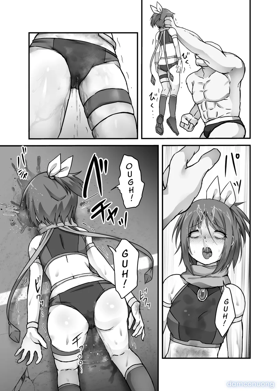 The Fate of a Low Level Magic Heroine 