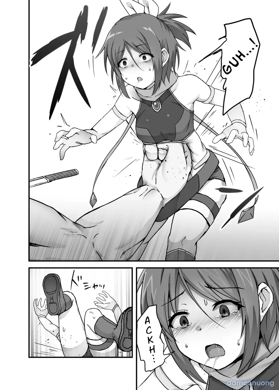 The Fate of a Low Level Magic Heroine 