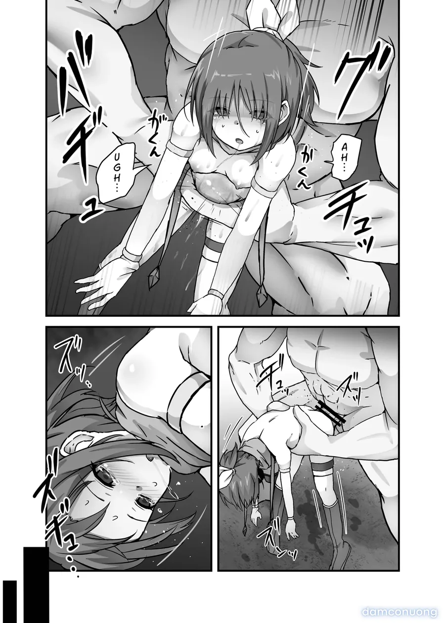 The Fate of a Low Level Magic Heroine 