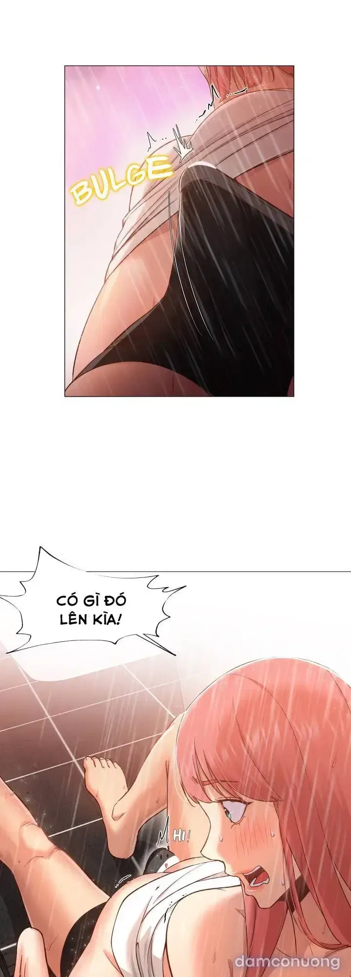 Sự hoán đổi bất ngờ 