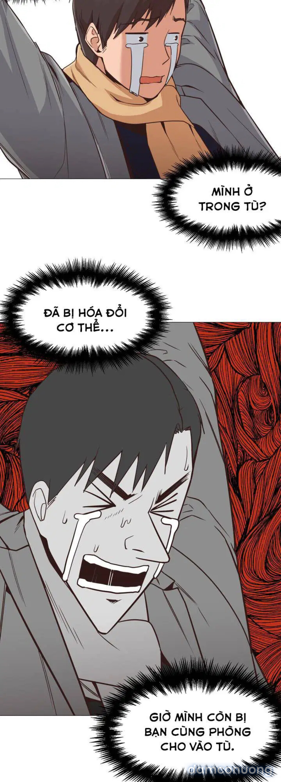 Sự hoán đổi bất ngờ 