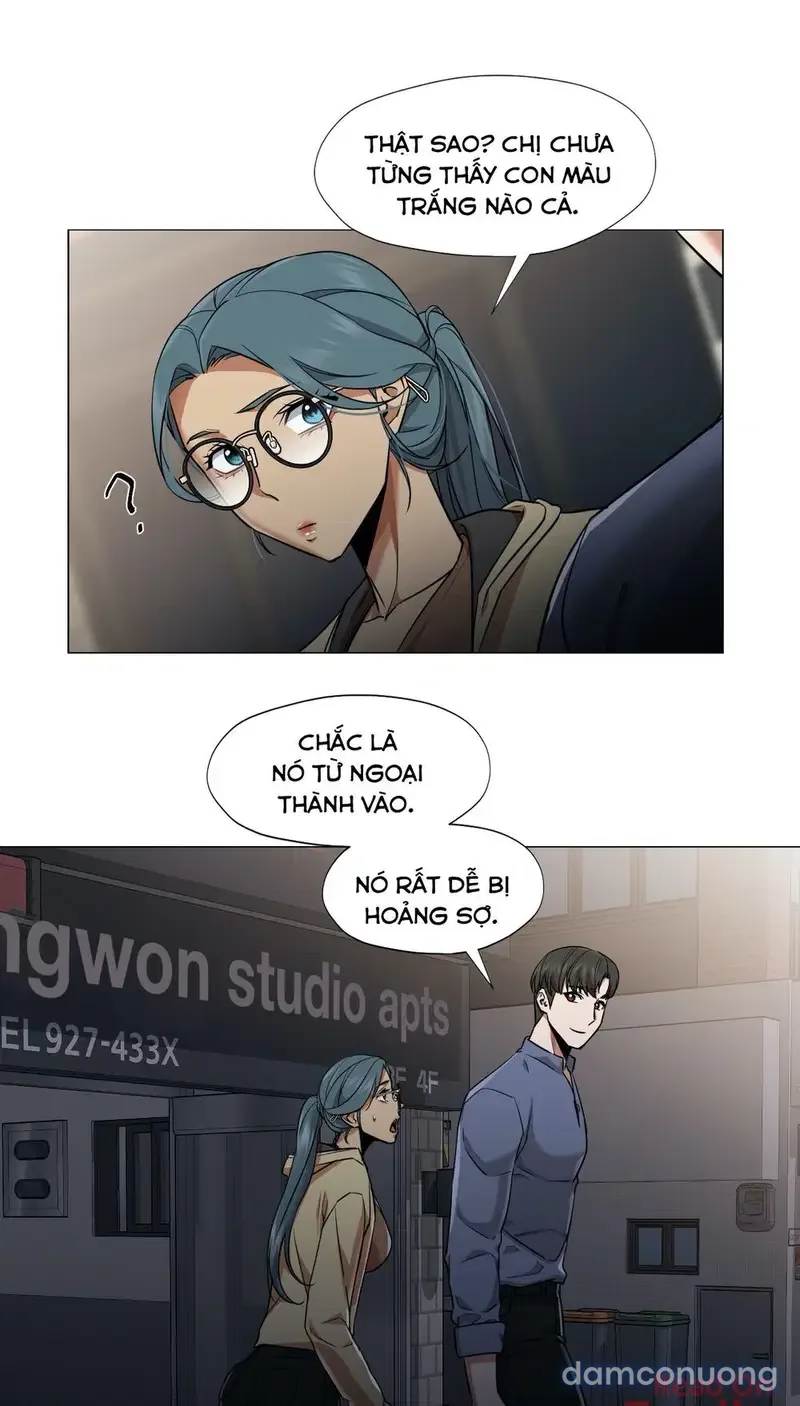 Sự hoán đổi bất ngờ 