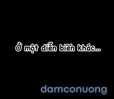 Tổng hợp Elden Ring 