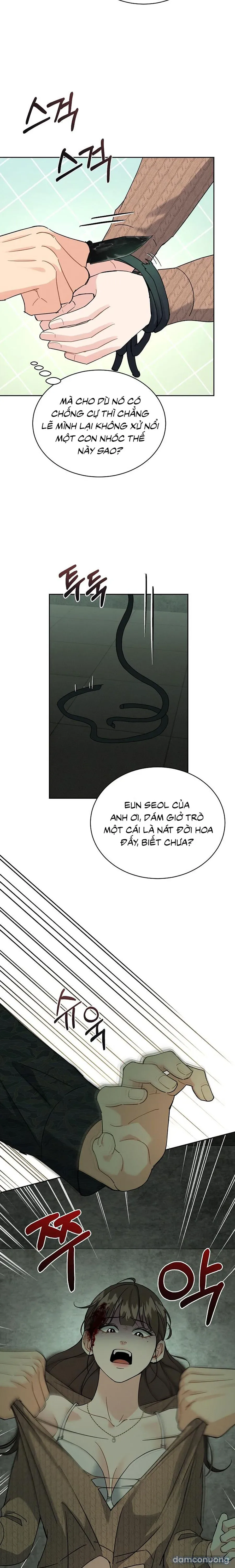 [19+] Lãng Mạn Chân Phương 