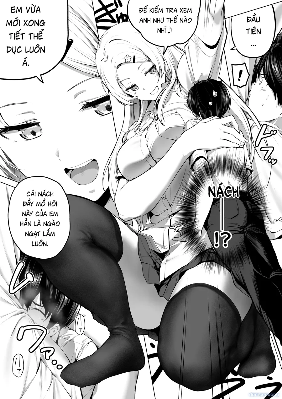 Nibai 3.2 