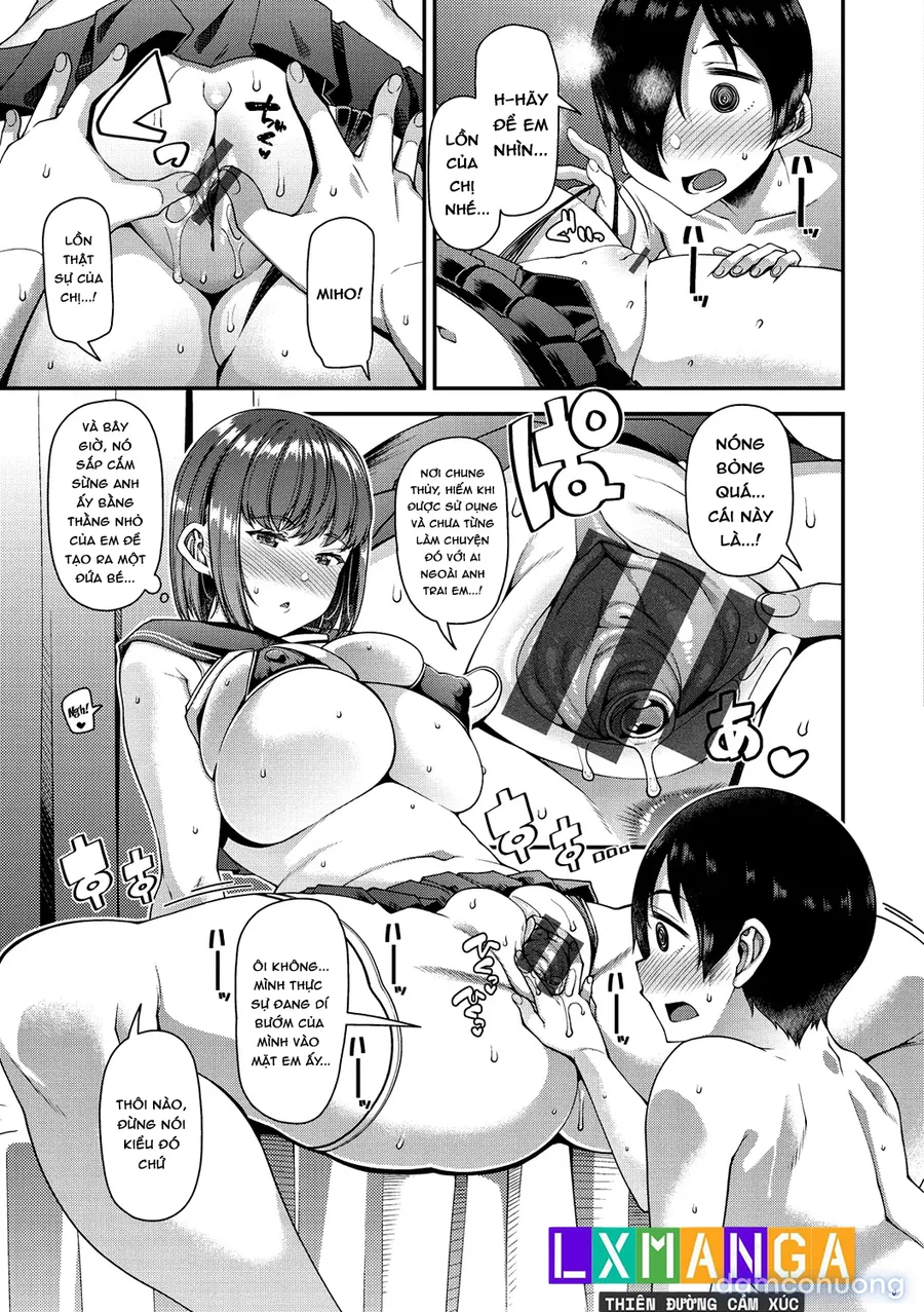 Tsuma Fes ~Aniyome Netorase Kounin Tanetsuke~ 