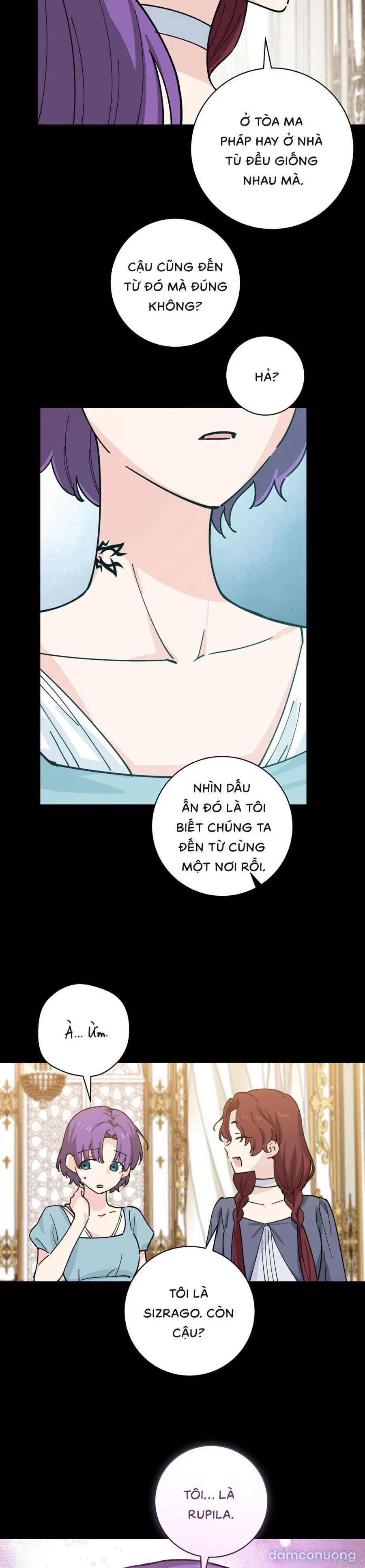 Tiểu Thư Nuốt Phù Thủy 