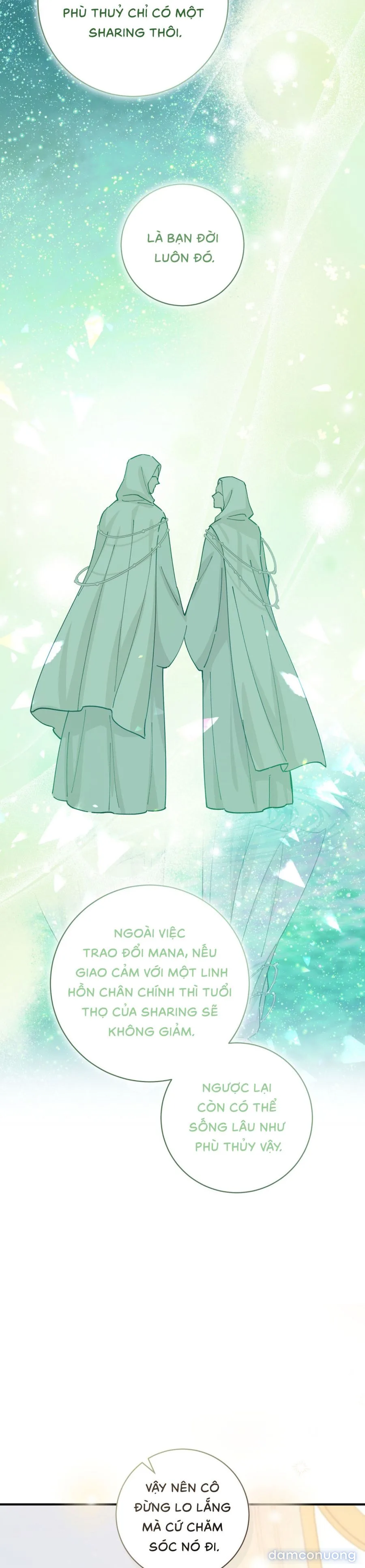 Tiểu Thư Nuốt Phù Thủy 