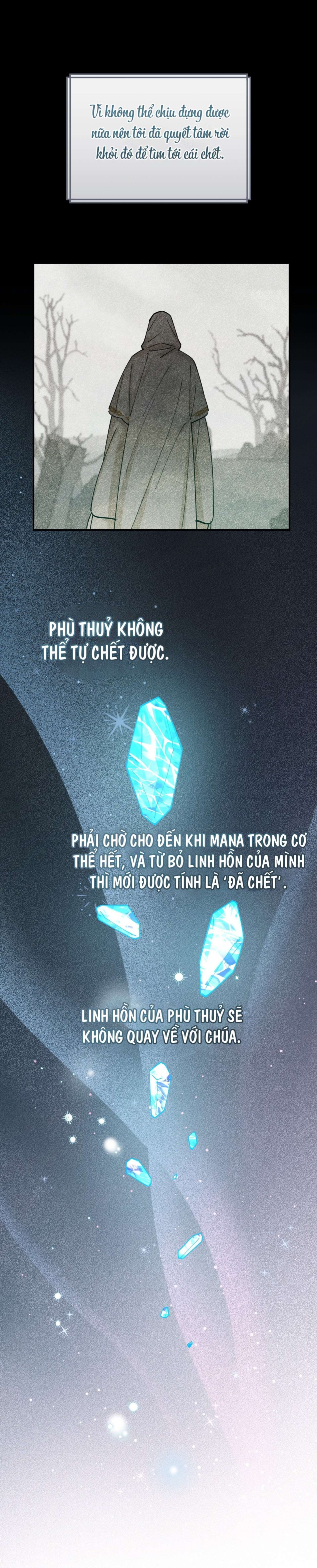 Tiểu Thư Nuốt Phù Thủy 
