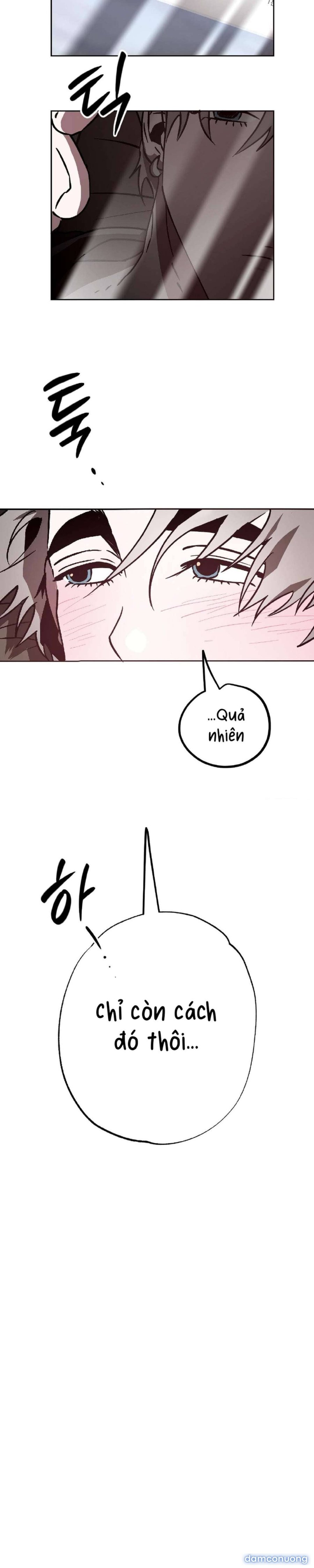 [ 18+ ] Tình Yêu Thuần Khiết Rốt Cuộc Là Gì Thế?! 