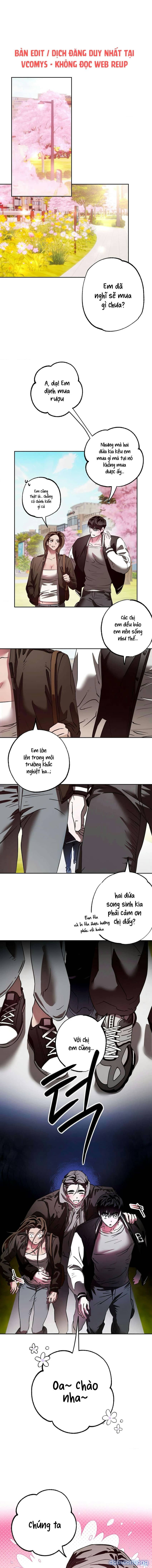 [ 18+ ] Tình Yêu Thuần Khiết Rốt Cuộc Là Gì Thế?! 