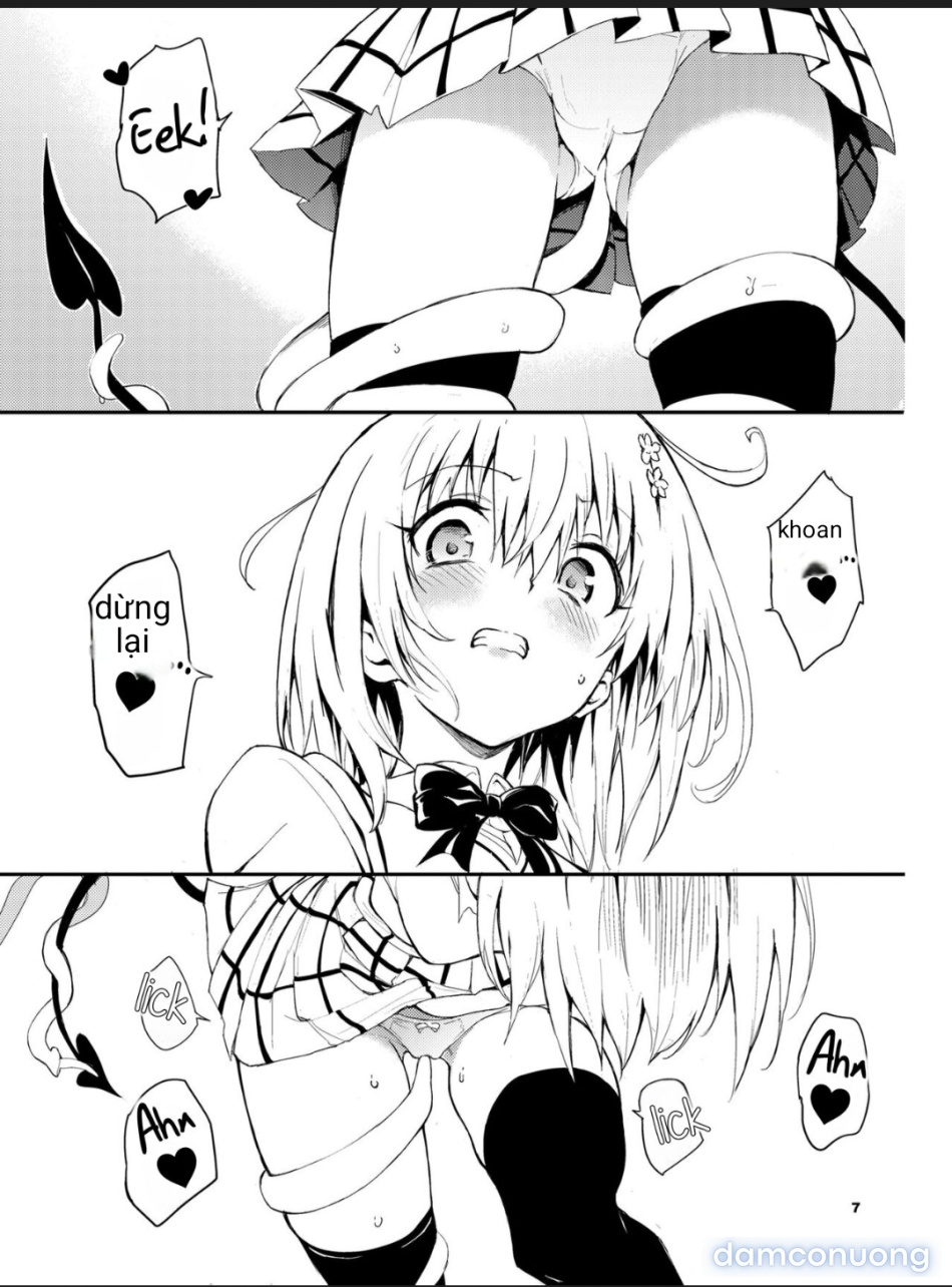 My harem plan 